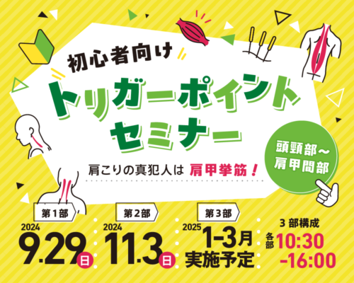 初心者向け トリガーポイントセミナー【頭頸部～肩甲間部】 ー肩こりの真犯人は肩甲挙筋！ー