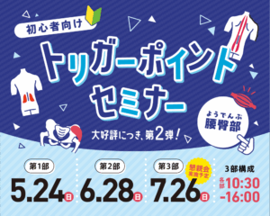 初心者向け トリガーポイントセミナー【腰臀部】